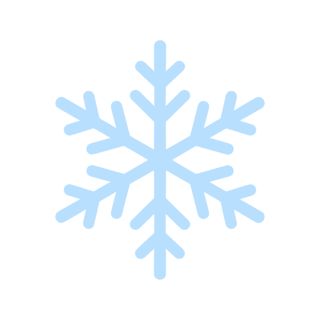 Tiptoe Winter Guard Ensemble Innovations